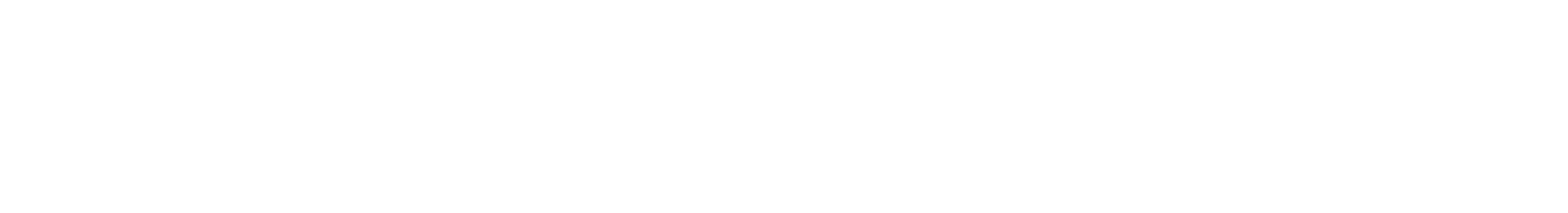 Primark logo white